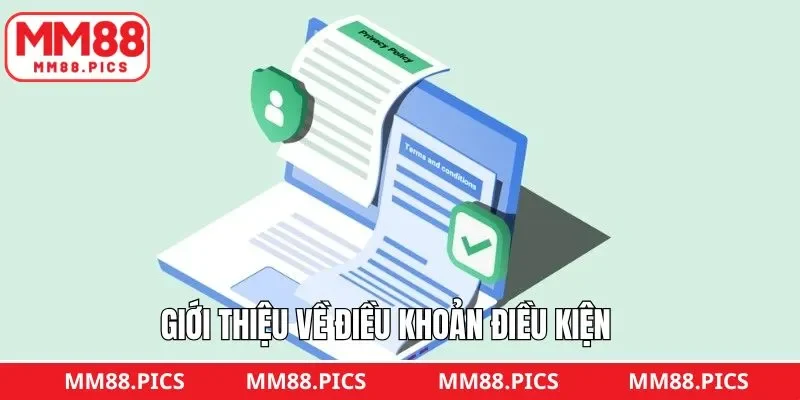Đôi nét về chính sách quan trọng tại MM88