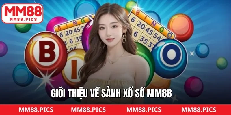 Tổng quan về sức hút của dự đoán xổ số