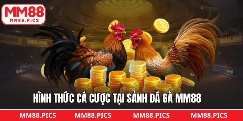 Khám phá các loại hình đang được ưa chuộng tại đá gà MM88