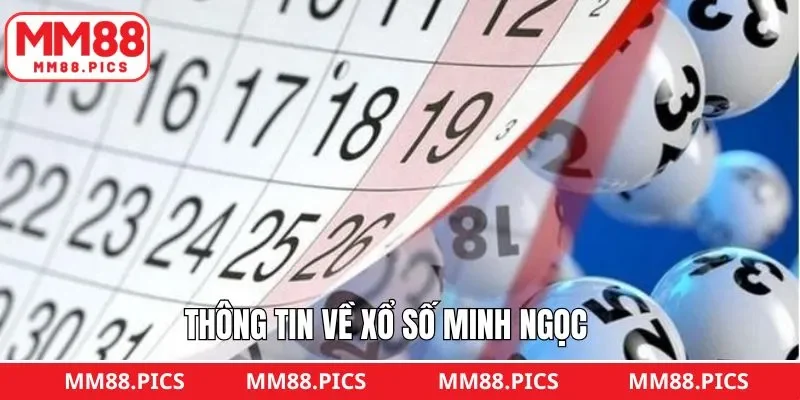 Nội dung sơ lược về hình thức cược số Minh Ngọc